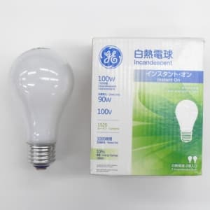 【生産完了品】【ケース販売特価 120個セット(2個パック×60)】白熱電球 100V 100W形 E26口金 LW100V90WGE2PK_60set