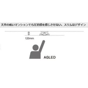 アグレッド 【生産完了品】LEDシャンデリア 〜8畳 調色・連続調光機能付 昼白色+電球色 シルバー  ACH-60046 画像4