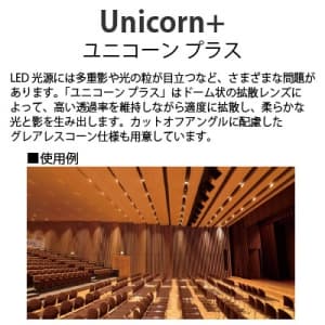 山田照明 【生産完了品】LEDダウンライト 取付穴φ125mm 埋込高165mm 昼白色相当 定格光束1702lm FHT42W相当 ホワイト 【生産完了品】LEDダウンライト 取付穴φ125mm 埋込高165mm 昼白色相当 定格光束1702lm FHT42W相当 ホワイト DD-3214-N 画像2