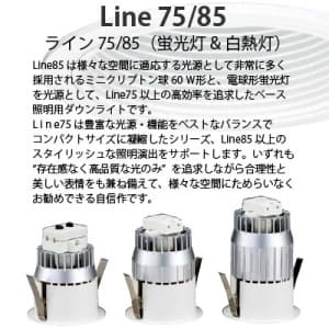 山田照明 【生産完了品】ダウンライト 取付穴φ75mm 埋込高143mm E17電球形蛍光灯D15形×1 ホワイト 【生産完了品】ダウンライト 取付穴φ75mm 埋込高143mm E17電球形蛍光灯D15形×1 ホワイト DF-2631 画像2