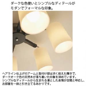 山田照明 【生産完了品】シャンデリア 4.5〜6畳向け E26電球形蛍光灯(電球色)A15形×4 シャンデリア 4.5～6畳向け E26電球形蛍光灯(電球色)A15形×4 CF-4235 画像2