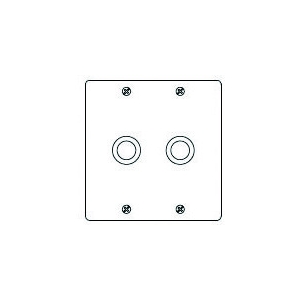 パナソニック フルカラー ステンレス大穴電話線プレート 2連用 取付枠付 WN7662K