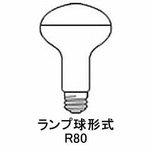 岩崎電気 【生産完了品】【ケース販売特価 10個セット】屋内投光用アイランプ 一般形 110V 100W形 E26口金 【ケース販売特価 10個セット】屋内投光用アイランプ 一般形 110V 100W形 E26口金 RF110V100WM_set