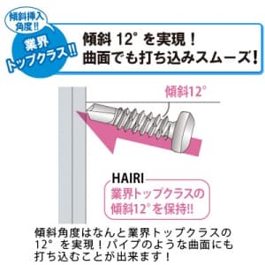 ノグチ 【生産完了品】ユニクロメッキハイリビス サラ 5.0×75 鉄製 50本×2袋入 《匠力》  HF575 画像4