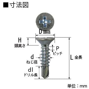 ノグチ 【生産完了品】三価ユニクロメッキドリルビス サラ 5.0×45 鉄製 300本入 《匠力》  DFF45 画像2