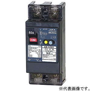 テンパール工業 漏電遮断器 2P2E50AF 30A 漏電遮断器 2P2E50AF 30A 52EC3030