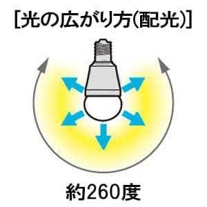 パナソニック 【生産完了品】LED電球プレミア 小形電球タイプ 全方向タイプ 40形相当 昼光色相当 E17口金 断熱材施工器具対応  LDA4D-G-E17/Z40E/S/W 画像2