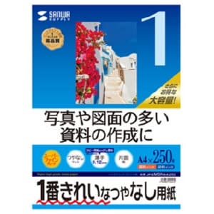 サンワサプライ インクジェット用印刷紙 A4サイズ つやなしマット・薄手タイプ スーパーファイングレード 片面印刷 250枚入 JP-EM5NA4-250