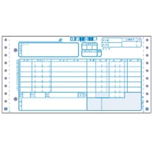 サンワサプライ 新統一伝票E様式 5枚複写 2穴タイプ 横10×縦5インチ 1000セット入 BN-T304