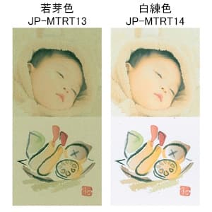 10個セットサンワサプライ 和紙若芽（わかめ）色 JP-MTRT13X10 - 文具