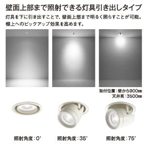 DAIKO 【限定特価】LEDダウンライト 温白色 φ50 12Vダイクロハロゲン85W形60W相当 埋込穴φ100mm 配光角11度 電源別売 ダウンスポット ユニバーサルタイプ LEDダウンライト 温白色 φ50 12Vダイクロハロゲン85W形60W相当 埋込穴φ100mm 配光角11度 電源別売 ダウンスポット ユニバーサルタイプ LZD-92551AW 画像2