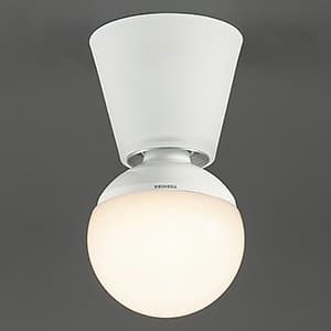 LEDランプ交換型シーリングライト 非調光 ボール球60W相当 電球色 E26口金 天井・壁付兼用 ランプ付 LD-2997-L