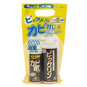 染めQテクノロジィ カビ封じ不思議セット ビックリン(200g)+カビ封じ浴室タイプ(100ml) カビフウジフシギセット