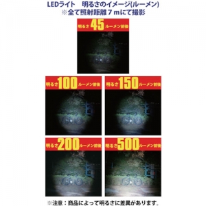 ハタヤ　LED防爆型ミニライト　SEP-005D