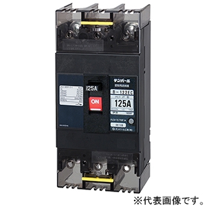 配線用遮断器 表面形 2P2E125AF 100A 経済タイプ B122EC10