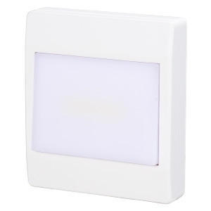 ヤザワ 【生産完了品】スイッチライト 乾電池式 白色LED×2灯 NBSWN40WH