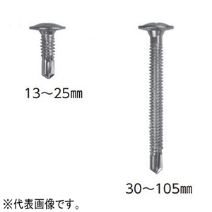 若井産業 【限定特価】ダンバ シンワッシャータイプ テーパータイプ サイズ5×16mm 三価ユニクロ処理 35本入 ダンバ シンワッシャータイプ テーパータイプ サイズ5×16mm 三価ユニクロ処理 35本入 4O516D