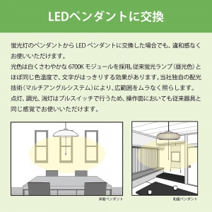 NEC LEDペンダントライト 〜12畳用 洋風タイプ 昼光色 LEDペンダントライト 〜12畳用 洋風タイプ 昼光色 HCDD1253X 画像5