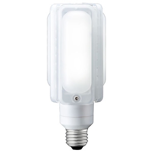 岩崎電気 LED電球 《LEDioc LEDライトバルブ》 29W 水銀ランプ100W相当 昼白色 E26口金 LDTS29N-G