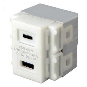 サンワサプライ 埋込USB給電用コンセント (TYPEC搭載) TAP-KJUSB1C1W