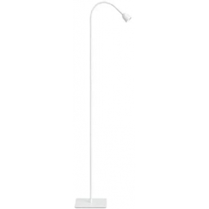 ヤザワ 【売り尽くし特価】LED一体フロアースタンド ホワイト 【売り尽くし特価】LED一体フロアースタンド ホワイト FSXS01