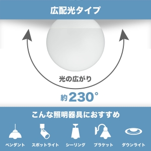 電材堂 【生産完了品】LED電球 G95ボール形 60W相当 電球色 ホワイトタイプ 口金E26 LED電球 G95ボール形 60W相当 電球色 ホワイトタイプ 口金E26 LDG7LG95DNZ2 画像2