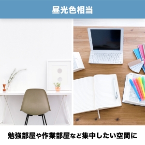 電材堂 【生産完了品】【ケース販売特価 10個セット】LED電球 一般電球形 100W相当 広配光 昼光色 ホワイトタイプ 口金E26 【ケース販売特価 10個セット】LED電球 一般電球形 100W相当 広配光 昼光色 ホワイトタイプ 口金E26 LDA14DGDNZ2_set 画像3