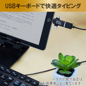 日本トラストテクノロジー OTG 3IN1アダプター OTG 3IN1アダプター OTG3IN1ABK 画像3