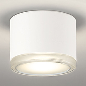 LED非常用照明器具・誘導灯器具 直付型 防雨型 壁面・天井面取付兼用 白熱灯器具100W相当 LED一体型 電球色 ねじ込式 オフホワイト  OR037037
