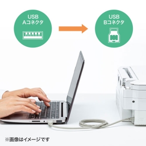 サンワサプライ 2重シールド ツイストペア USB2.0ケーブル 0.3m 2重シールド ツイストペア USB2.0ケーブル 0.3m KU20-03HK2 画像2