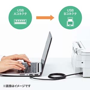 サンワサプライ 金メッキコネクタ USB2.0ケーブル ブラック 0.6m 金メッキコネクタ USB2.0ケーブル ブラック 0.6m KU20-06BKHK2 画像2