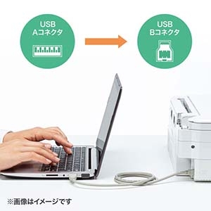 サンワサプライ 金メッキコネクタ USB2.0ケーブル ライトグレー 0.6m 金メッキコネクタ USB2.0ケーブル ライトグレー 0.6m KU20-06HK2 画像2