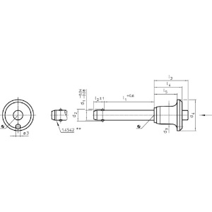 HALDER アイボルト 形状B ピンM16×80 22980.0294