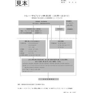 A&D 【受注生産品】パーソナル天びん EK300i 一般校正付 【受注生産品】パーソナル天びん EK300i 一般校正付 EK300I-JA-00A00 画像4