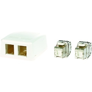 コーニング Cat6A RJ45ジャック+露出型アウトレット(2ポート) VOL-SMB-2S6A