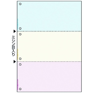 ヒサゴ マルチプリンタ帳票 撥水紙 カラー 3面 6穴 マルチプリンタ帳票 撥水紙 カラー 3面 6穴 BPW2013 画像2