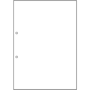 ヒサゴ プリンタ帳票A4白紙2穴 プリンタ帳票A4白紙2穴 FSC2001 画像2