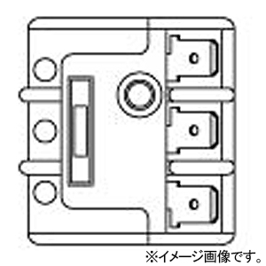 パナソニック 器具用フル端子式端子台 3極2分岐タブ端子型 20A・300V WCT6131