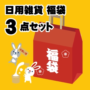 ヤザワ 【予約販売開始】 便利な日用雑貨 福袋3点セット OTANOSHIMI3