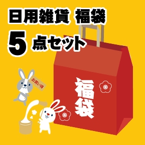 ヤザワ 【予約販売開始】便利な日用雑貨 福袋5点セット OTANOSHIMI5