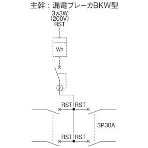 パナソニック アロー盤 テナント用動力分電盤 分岐バー接続タイプ 露出形 屋内用 主幹漏電ブレーカ 主幹容量60A 60AF 回路数12 アロー盤 テナント用動力分電盤 分岐バー接続タイプ 露出形 屋内用 主幹漏電ブレーカ 主幹容量60A 60AF 回路数12 BN6125PW1W 画像2