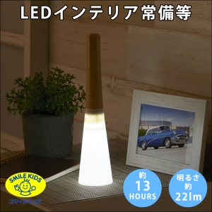 旭電機化成 LEDのインテリア常備灯(化粧箱) APL-3207S