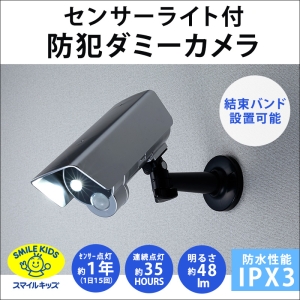 旭電機化成 【販売終了】センサーライト付防犯ダミーカメラ ASL-3309