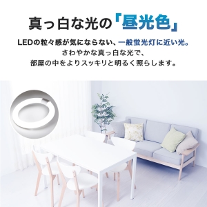 エコデバイス 30形 LEDサークルランプ(昼光色) 工事不要ランプ 30形 LEDサークルランプ(昼光色) 工事不要ランプ EFCL30LED/28N 画像2