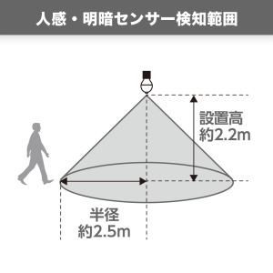 ヤザワ LED電球 A形 60W相当 電球色 センサー付き LED電球 A形 60W相当 電球色 センサー付き LDA8LGP2 画像5