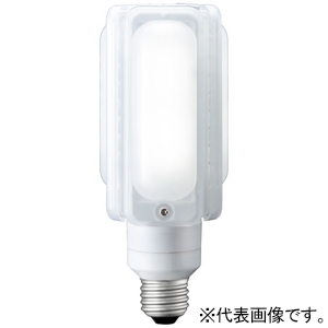 岩崎電気 【生産完了品】LEDランプ ≪LEDioc LEDライトバルブ≫ 24W 水銀ランプ100W相当 ユニバーサル点灯 電球色 E26口金 LDTS24L-G