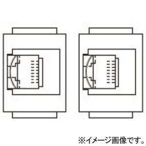 TERADA(寺田電機製作所) 【受注生産品】情報(CAT6)器具ブロック ≪テラコン≫ CAT6×2 SBBシリーズ用 各社フロアパネル対応 SBB90086