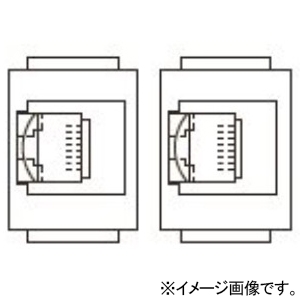 TERADA(寺田電機製作所) 【受注生産品】情報(CAT6A)器具ブロック ≪テラコン≫ CAT6A×2 SBBシリーズ用 各社フロアパネル対応 SBB90182