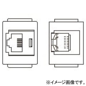 TERADA(寺田電機製作所) 【受注生産品】電話+情報(CAT5E)器具ブロック ≪テラコン≫ TEL×1+CAT5E×1 SBBシリーズ用 各社フロアパネル対応 SBB90040