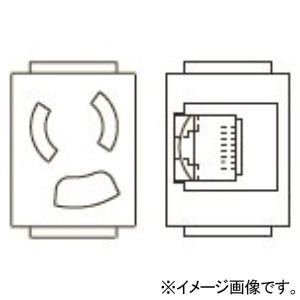 TERADA(寺田電機製作所) 【受注生産品】複合器具ブロック ≪テラコン≫ 接地2P15A125V抜止×1+CAT6×1 SBBシリーズ用 各社フロアパネル対応 SBB90016